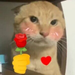 Meet your Posher, Adalberto